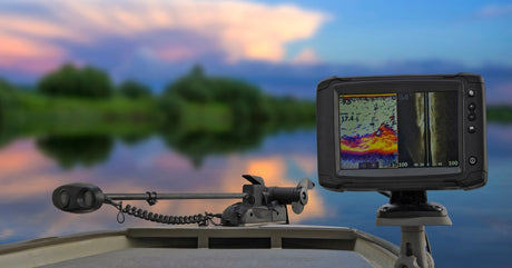 A large tree has fallen over a driveway, and an orange traffic cone is near it. Its roots are sticking up in the air.